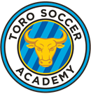 Toro Soccer Academy